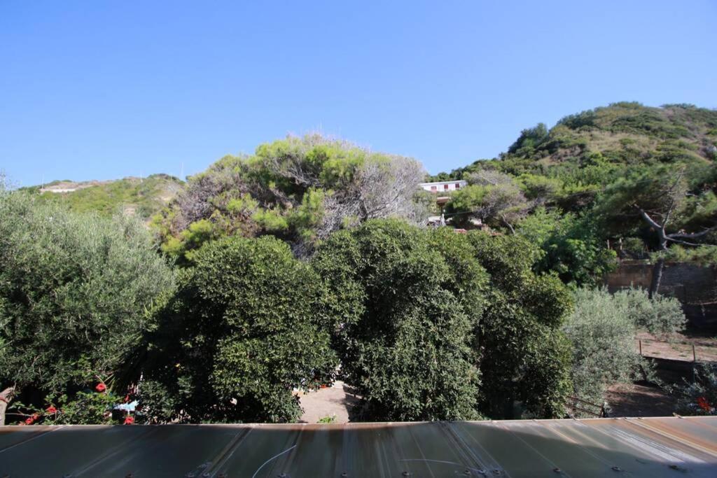 Il Giglio Di Mare Villa San Saba Dış mekan fotoğraf